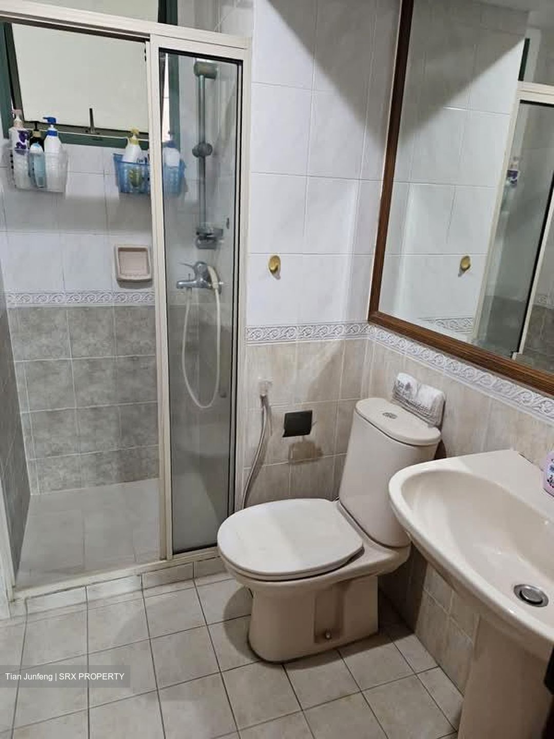 Palm Gardens (D23), Condominium #581371561